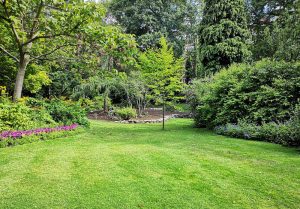 Optimiser l'expérience du jardin à Corronsac